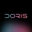 Doris - Seu closet inteligente icon
