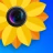 Photo Gallery: Album & Vault icon