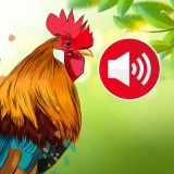 Versi Animali Suonerie:sfondi icon