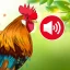 Versi Animali Suonerie:sfondi icon