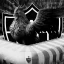 Super App do Galo icon