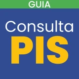Consulta PIS PASEP: GUIA icon