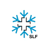 White Risk - SLF Lawinen-App icon