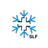 White Risk - SLF Lawinen-App icon
