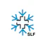 White Risk - SLF Lawinen-App icon