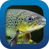 Heintges Angelschein Trainer icon