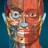 Anatomy Learning - Anatomía 3D icon