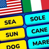 MomoLingo: Englisch und mehr icon
