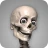 Skelly: Poseable Anatomy Model icon