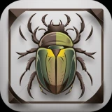Käfer & Insekten Bestimmen icon