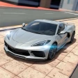 Extreme Car Driving Simulator icon