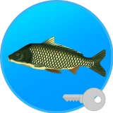 Реальная Рыбалка (ключ) icon