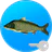 Реальная Рыбалка (ключ) icon