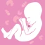 Escutar O Coração Do Bebê icon