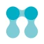 Networkapp icon
