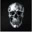 Ascension - Facial Analysis icon