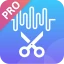 Editor Musicale icon