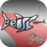 Beissindex Pro Angeln icon