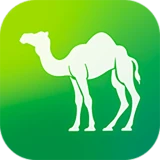Camel Live icon