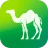 Camel Live icon