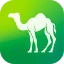Camel Live icon