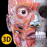 Anatomía - Atlas 3D icon