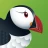 Navegador web Puffin icon