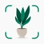 Plantify: Riconoscere Piante icon