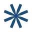 vzlavirtual icon