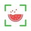 NutriPic: Contatore Calorie icon