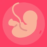 Idade Gestacional (do bebê) icon