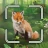 Forêt Mixte™ Smart Counter icon