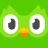 Duolingo : Cours de Langue icon