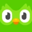 Duolingo : Cours de Langue icon