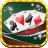 Buraco Pro HD icon