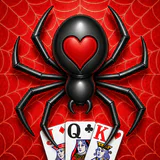 Spider Solitaire icon