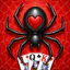 Spider Solitaire icon