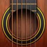 Real Gitarre - Lieder Spielen icon