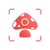 Picture Mushroom: Guida Fungo icon