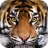 Ultimate Tiger Simulator 2 icon