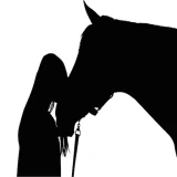 Chevaux - Quiz icon