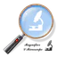 Lente di ingrandimento icon