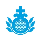 H.U. San Rafael Madrid icon