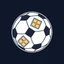 FootWordle icon