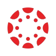 Canvas icon