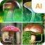 Identificatore di funghi icon