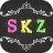 SKZ: Stray Kids game icon