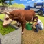 Sim-games voor dierenboerderij icon