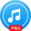 lecteur de musique - version p icon