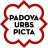 Padova Urbs picta icon